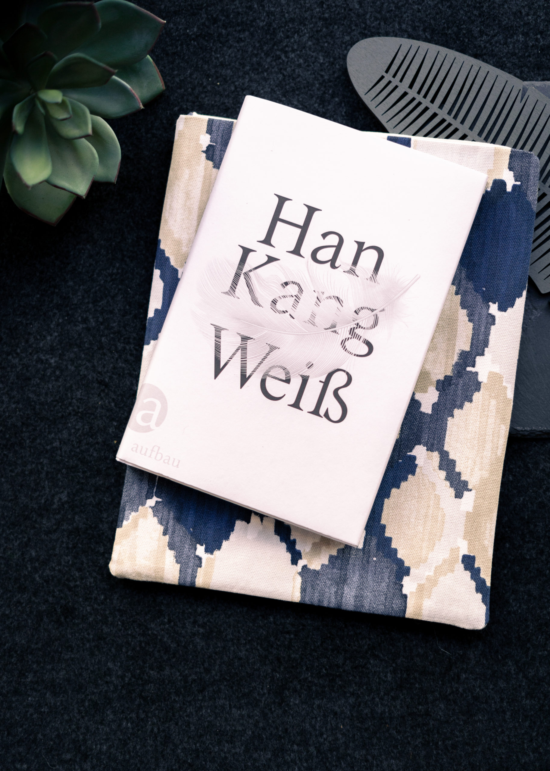 Han Kang-8